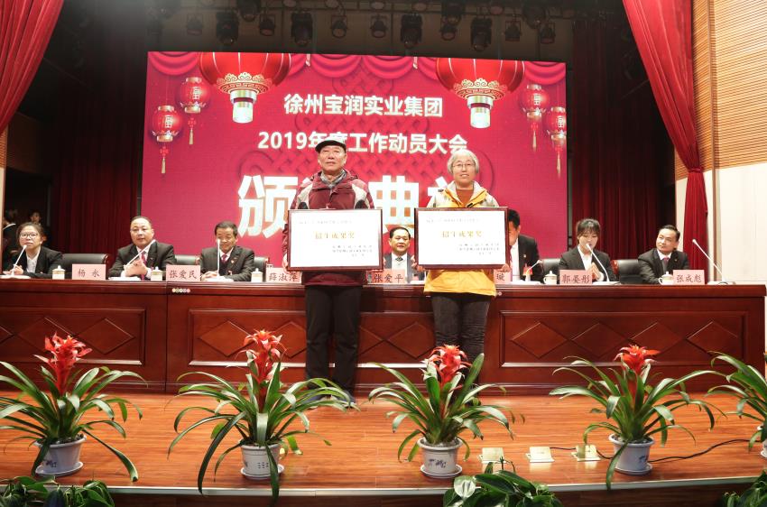 江南电子网站(中国)官方网站2019年度工作动员大会---集团公司领导为先进单位和先进个人代表颁奖