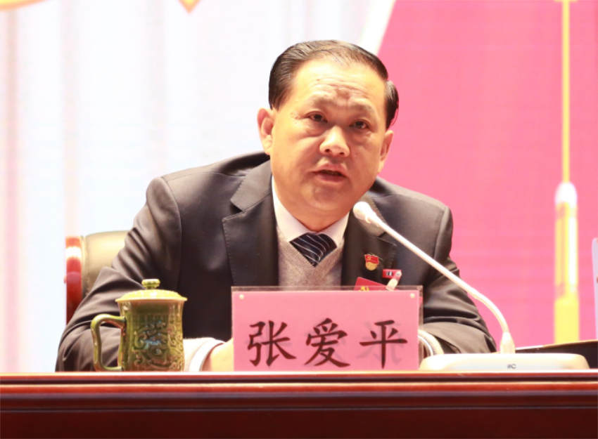 张爱平同志宣读中共江南电子网站(中国)官方网站第一届党委成员分工及纪委成员分工